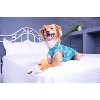 Îmbrăcăminte de Protecție „Dry Light Supreme Dog” Verde Mărimea 2 (2,5 – 3,5 kg) UV 50 plus, Antimicrobiană, Dry